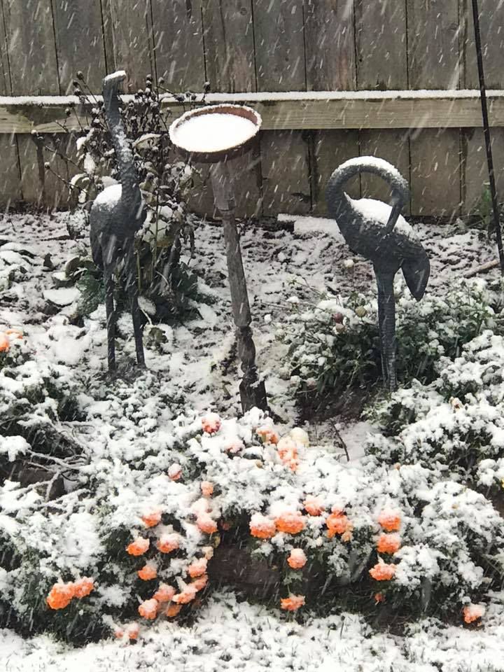 Snow, 10/14